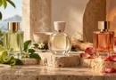 frascos de perfume funcional representando energia, conforto e confiança